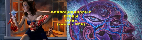 ГАЛЛЮЦИНОГЕННЫЕ ГРИБЫ Покровск